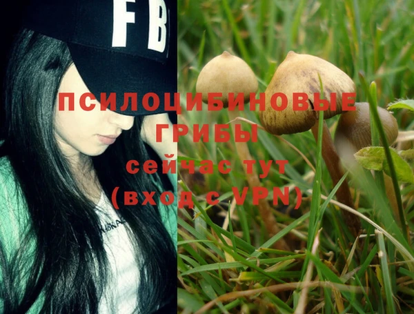 MESCALINE Нягань